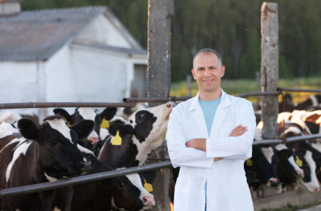 Zoetis Inc analysts lower price targets amid mixed sentiment on stock